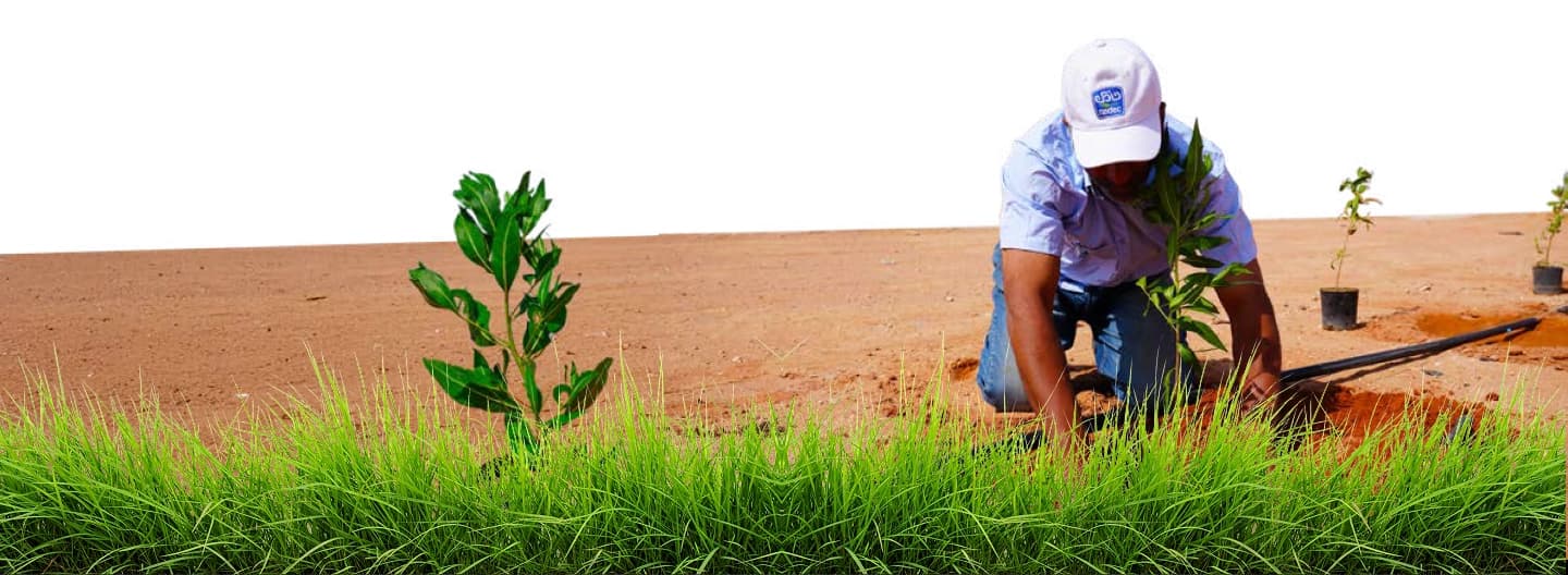 human resources image